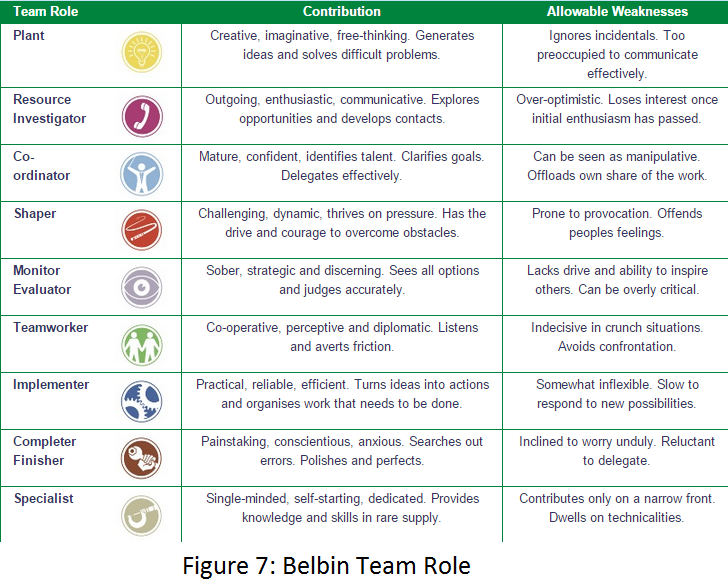 free belbin team role test